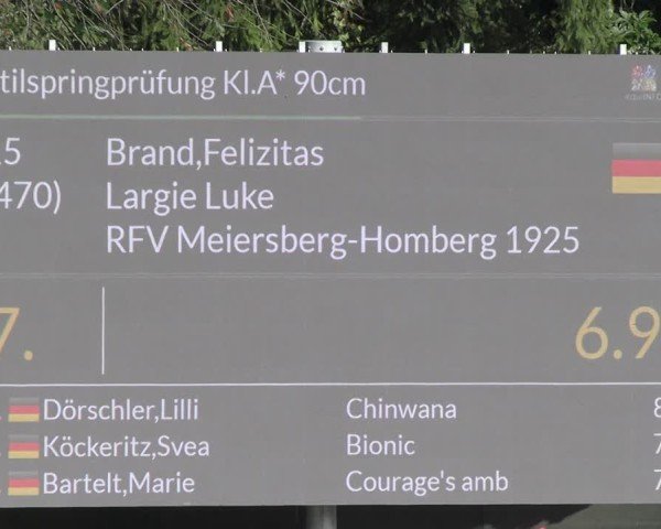 Reitturnier Solingen 2024