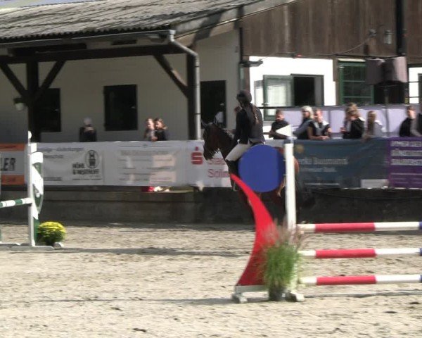 Reitturnier Solingen 2024