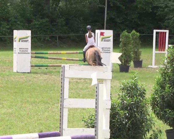Weinsberg 2013