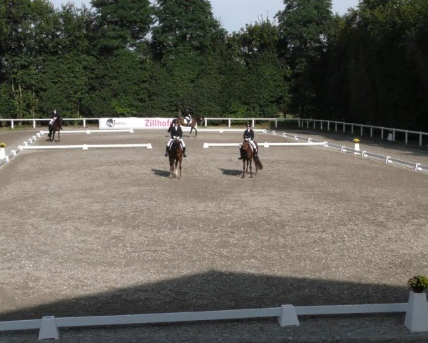 Reitturnier Zillhofen/Obb. 2024