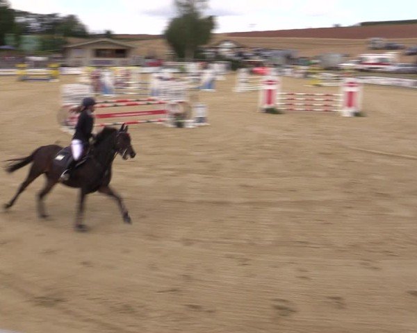 Reitturnier Duderstadt 2024