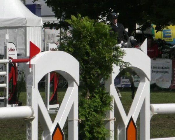 Reitturnier Aschersleben 2024