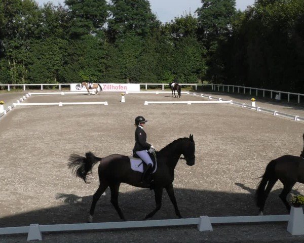 Reitturnier Zillhofen/Obb. 2024