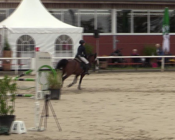 Reitturnier Werne 2024