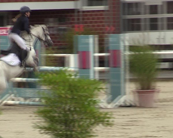 Reitturnier Werne 2024