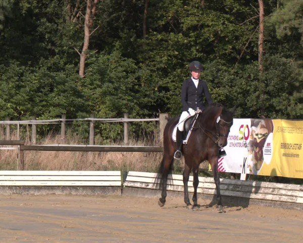 Reitturnier Ostbevern 2024