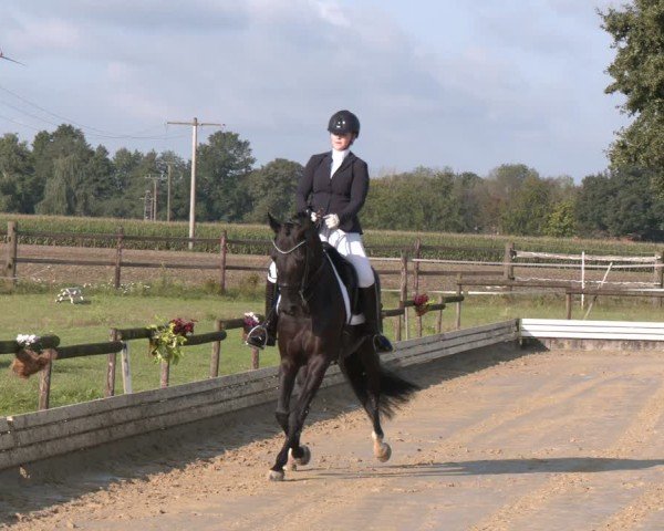 Reitturnier Ostbevern 2024