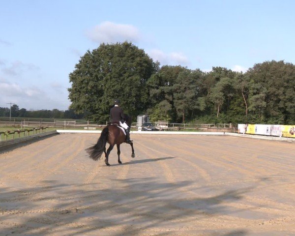 Reitturnier Ostbevern 2024