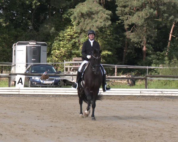 Reitturnier Ostbevern 2024