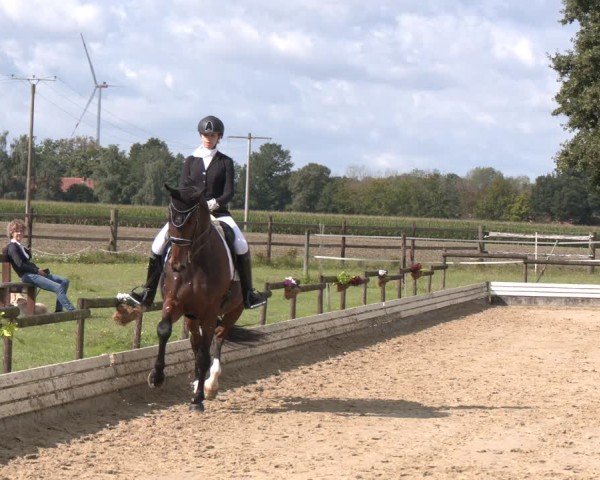 Reitturnier Ostbevern 2024