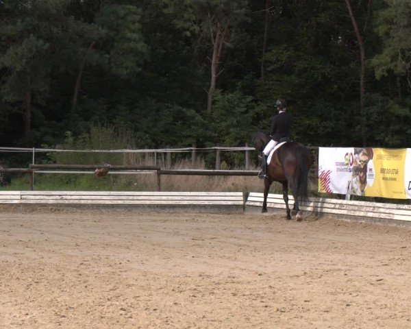Reitturnier Ostbevern 2024