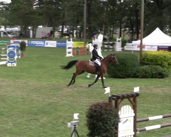 Reitturnier Cottbus-Sielow 2024