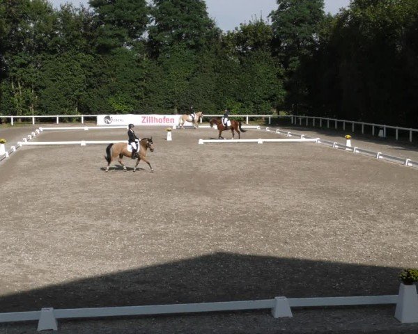 Reitturnier Zillhofen/Obb. 2024