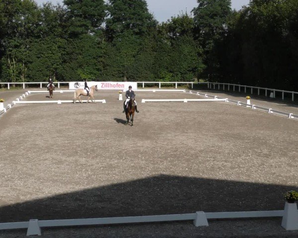 Reitturnier Zillhofen/Obb. 2024