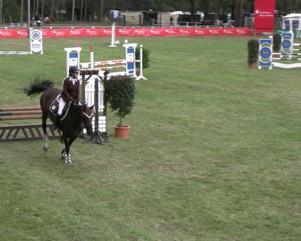 Reitturnier Cottbus-Sielow 2024