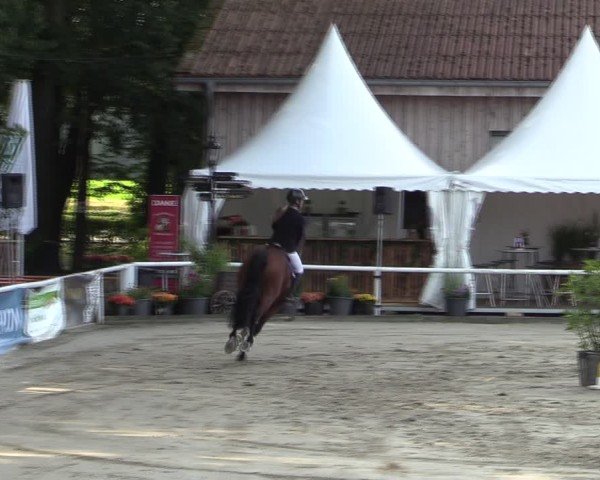 Reitturnier Werne 2024