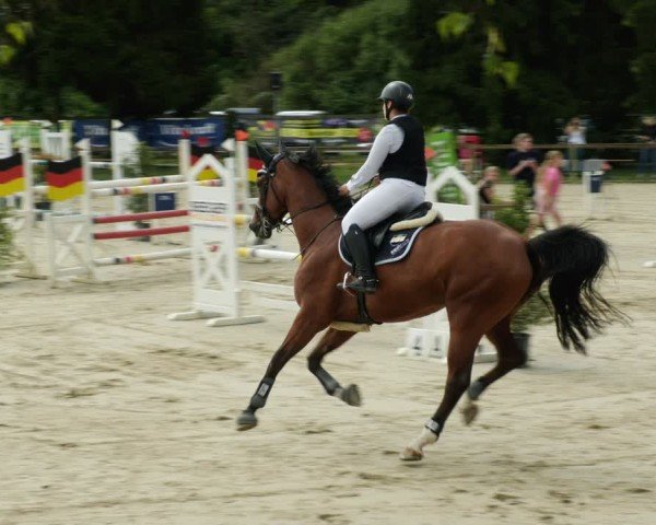 Reitturnier Walldorf/Winterheck 2024