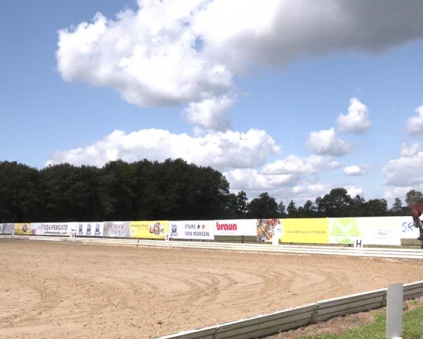 Reitturnier Ostbevern 2024