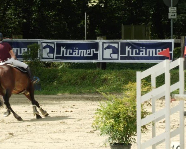 Reitturnier Walldorf/Winterheck 2024