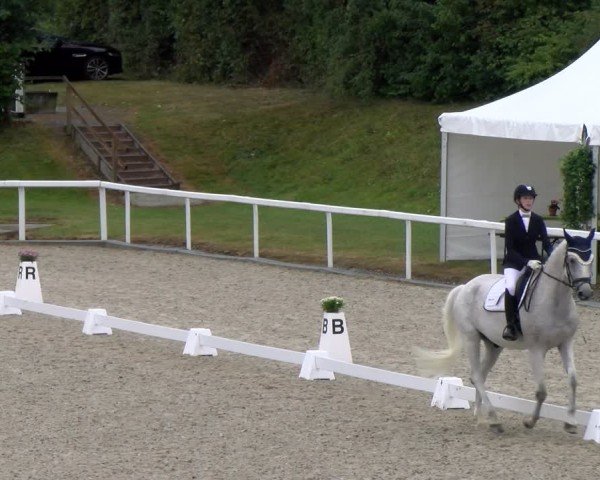 Reitturnier Bülach 2024
