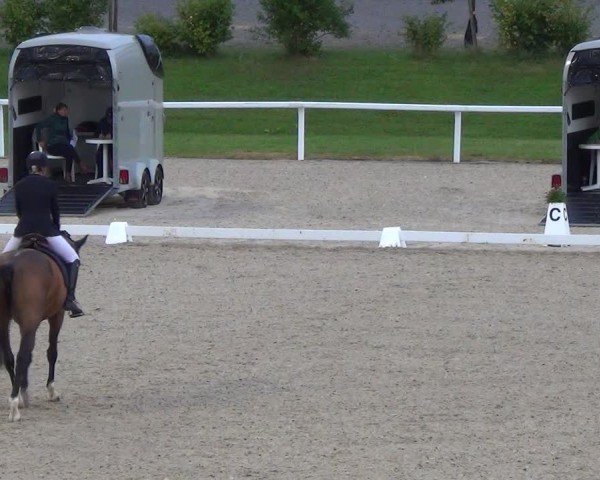 Reitturnier Bülach 2024