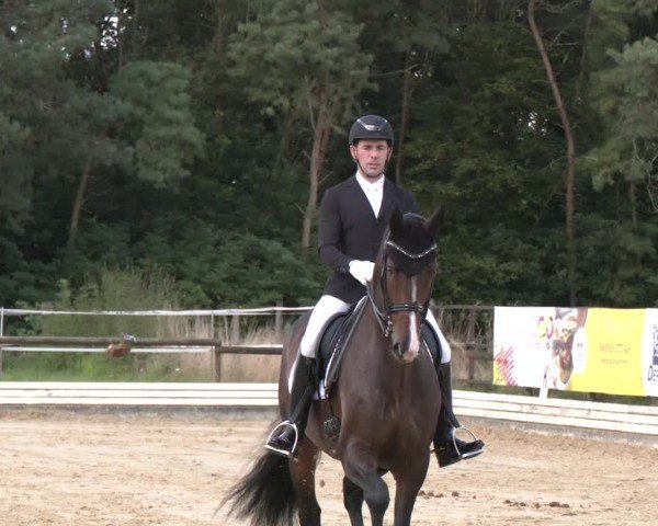 Reitturnier Ostbevern 2024