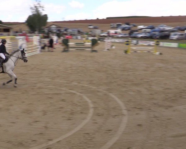 Reitturnier Duderstadt 2024