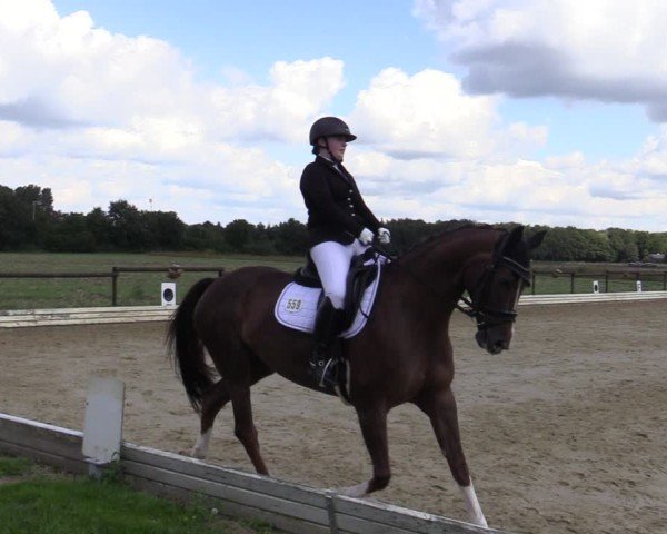 Reitturnier Ostbevern 2024
