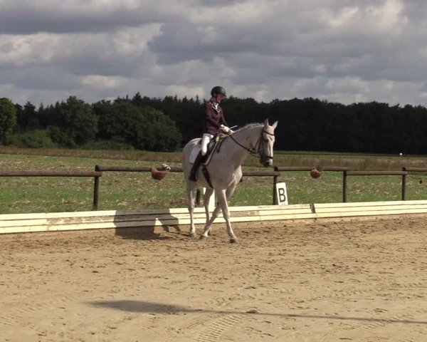 Reitturnier Ostbevern 2024