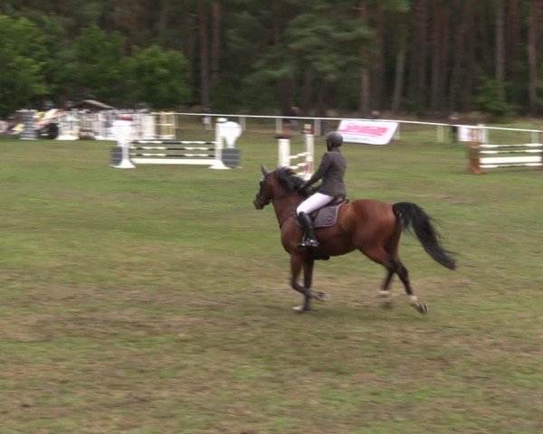 Reitturnier Plöwen 2024