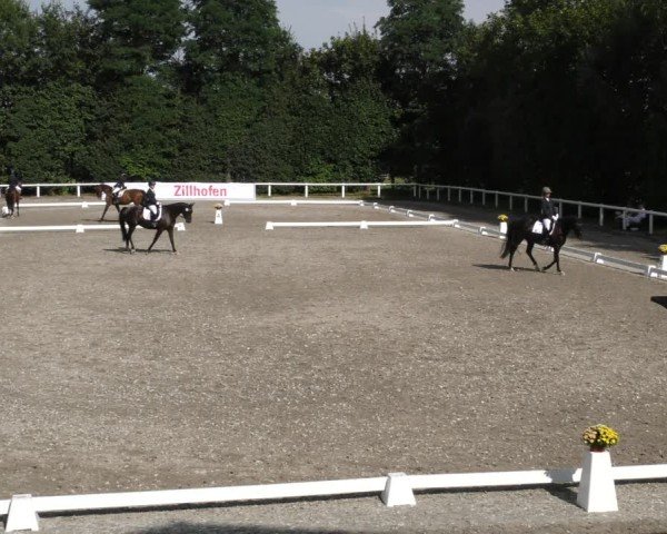 Reitturnier Zillhofen/Obb. 2024