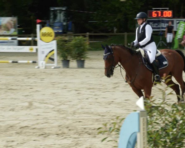 Reitturnier Walldorf/Winterheck 2024