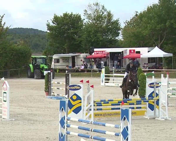 Reitturnier Großbardorf/Ufr. 2024