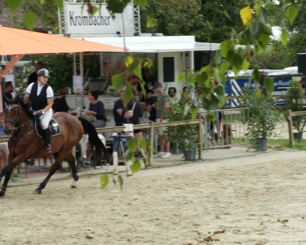Reitturnier Walldorf/Winterheck 2024