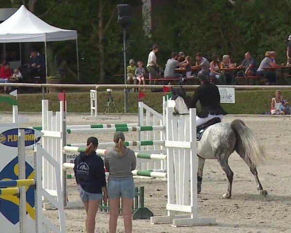 Reitturnier Großbardorf/Ufr. 2024