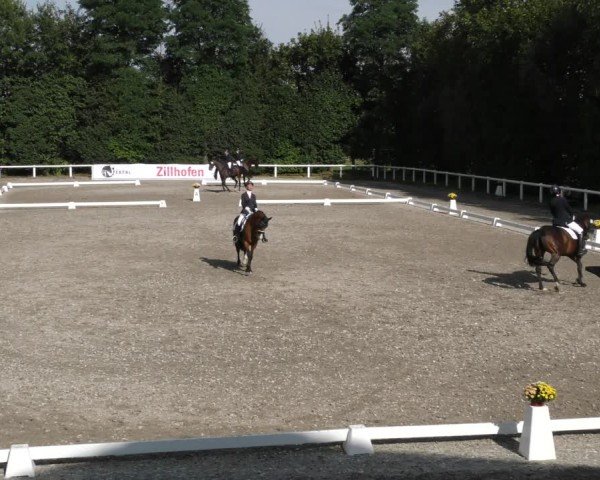 Reitturnier Zillhofen/Obb. 2024