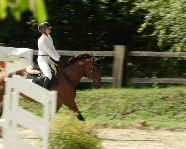Reitturnier Walldorf/Winterheck 2024