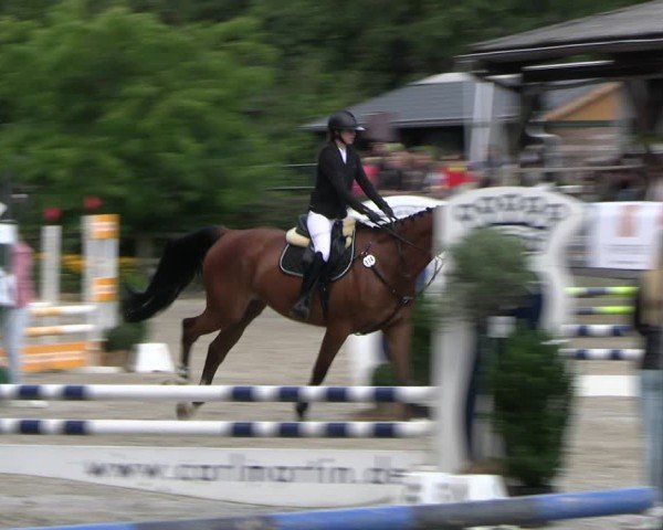 Reitturnier Solingen 2024