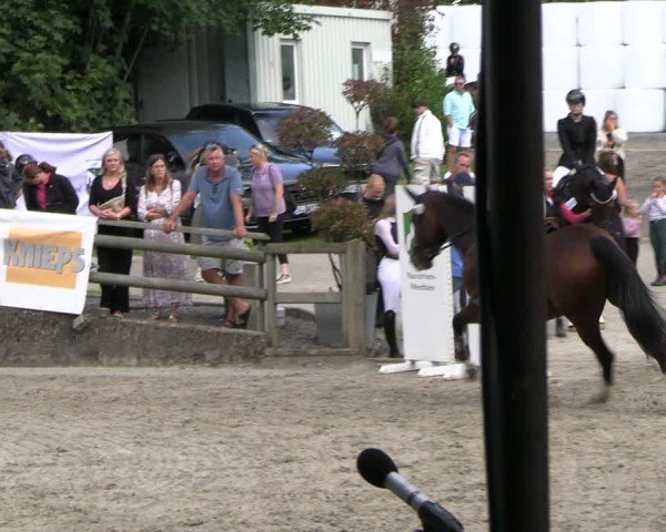 Reitturnier Solingen 2024