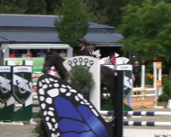 Reitturnier Solingen 2024