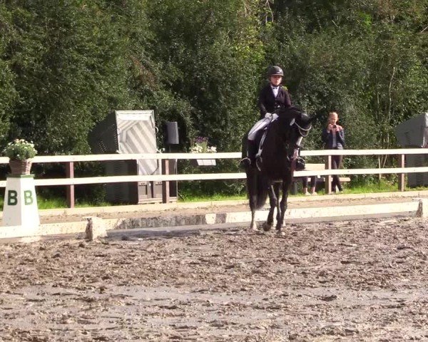 Reitturnier Kleinsolter Turniertage 2024
