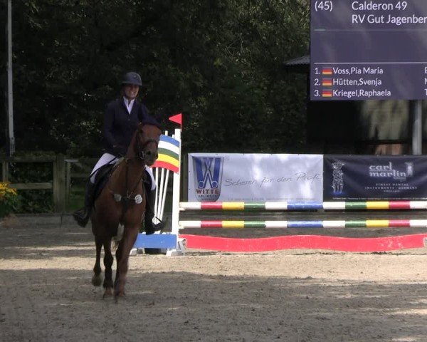 Reitturnier Solingen 2024