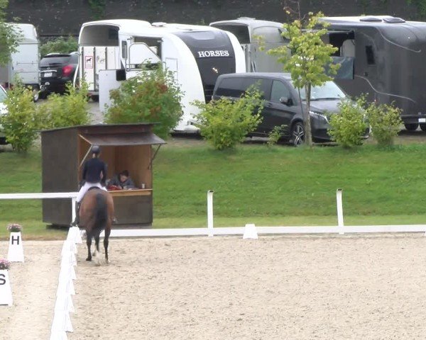 Reitturnier Bülach 2024