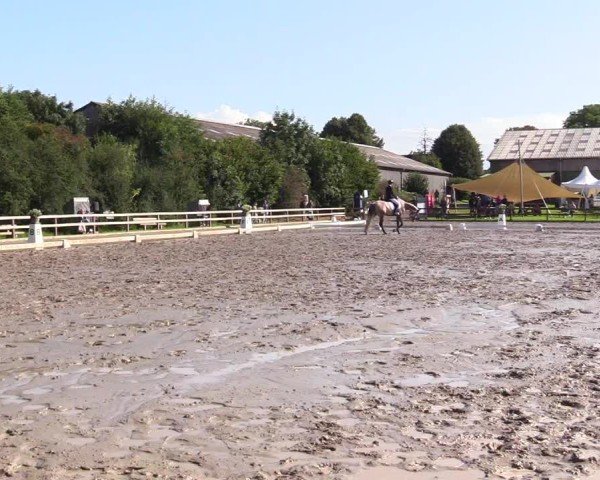Reitturnier Kleinsolter Turniertage 2024