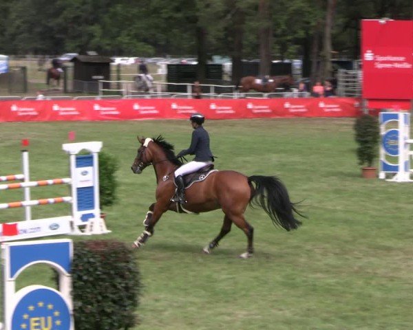 Reitturnier Cottbus-Sielow 2024