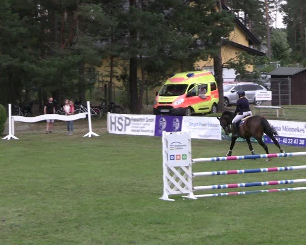 Reitturnier Cottbus-Sielow 2024