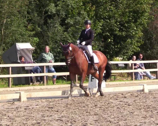 Reitturnier Kleinsolter Turniertage 2024