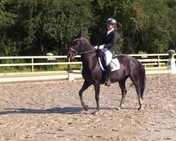 Reitturnier Kleinsolter Turniertage 2024