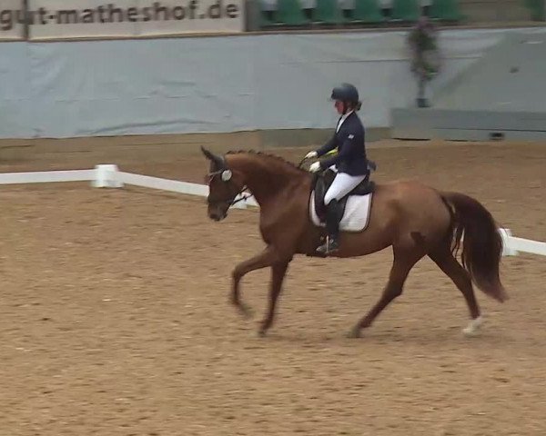 Reitturnier Kreuth/Opf. 2021