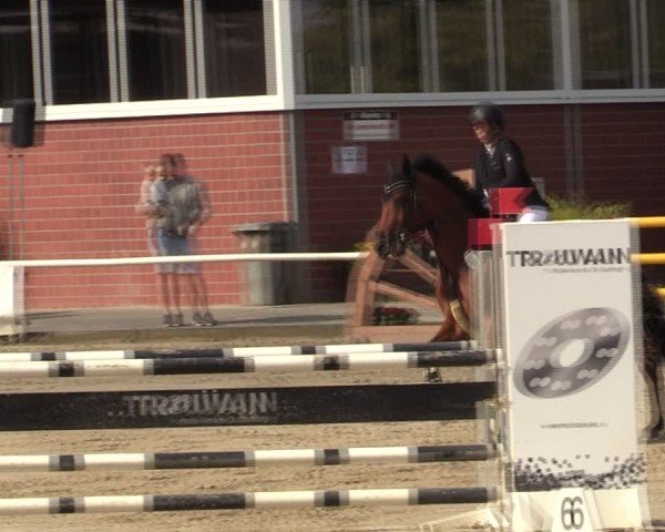 Reitturnier Werne 2024